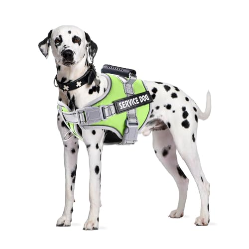 PETCUTE Hundegeschirr Gepolstert aus Weichem Nylon,Reflektierendes Welpengeschirr mit 2 Ringen,Stabiler Griff,Atmungsaktiv Einstellbar Brustgeschirr für große,Mittelgroße und Kleine Hunde PETCUTE Hundegeschirr Gepolstert aus Weichem Nylon,Reflektierendes Welpengeschirr mit 2 Ringen,Stabiler Griff,Atmungsaktiv Einstellbar Brustgeschirr für große,Mittelgroße und Kleine Hunde von PETCUTE