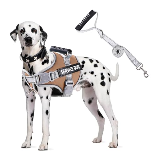 PETCUTE Hundegeschirr Gepolstert aus Weichem Nylon,Reflektierendes Welpengeschirr mit 2 Ringen,Stabiler Griff,Atmungsaktiv Einstellbar Brustgeschirr für große,Mittelgroße und Kleine Hunde PETCUTE Hundegeschirr Gepolstert aus Weichem Nylon,Reflektierendes Welpengeschirr mit 2 Ringen,Stabiler Griff,Atmungsaktiv Einstellbar Brustgeschirr für große,Mittelgroße und Kleine Hunde von PETCUTE
