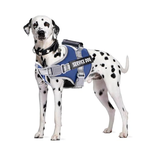 PETCUTE Hundegeschirr Gepolstert aus Weichem Nylon,Reflektierendes Welpengeschirr mit 2 Ringen,Stabiler Griff,Atmungsaktiv Einstellbar Brustgeschirr für große,Mittelgroße und Kleine Hunde PETCUTE Hundegeschirr Gepolstert aus Weichem Nylon,Reflektierendes Welpengeschirr mit 2 Ringen,Stabiler Griff,Atmungsaktiv Einstellbar Brustgeschirr für große,Mittelgroße und Kleine Hunde von PETCUTE