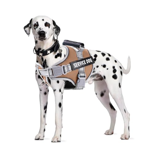 PETCUTE Hundegeschirr Gepolstert aus Weichem Nylon,Reflektierendes Welpengeschirr mit 2 Ringen,Stabiler Griff,Atmungsaktiv Einstellbar Brustgeschirr für große,Mittelgroße und Kleine Hunde PETCUTE Hundegeschirr Gepolstert aus Weichem Nylon,Reflektierendes Welpengeschirr mit 2 Ringen,Stabiler Griff,Atmungsaktiv Einstellbar Brustgeschirr für große,Mittelgroße und Kleine Hunde von PETCUTE