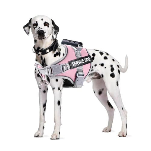 PETCUTE Hundegeschirr Gepolstert aus Weichem Nylon,Reflektierendes Welpengeschirr mit 2 Ringen,Stabiler Griff,Atmungsaktiv Einstellbar Brustgeschirr für große,Mittelgroße und Kleine Hunde PETCUTE Hundegeschirr Gepolstert aus Weichem Nylon,Reflektierendes Welpengeschirr mit 2 Ringen,Stabiler Griff,Atmungsaktiv Einstellbar Brustgeschirr für große,Mittelgroße und Kleine Hunde von PETCUTE