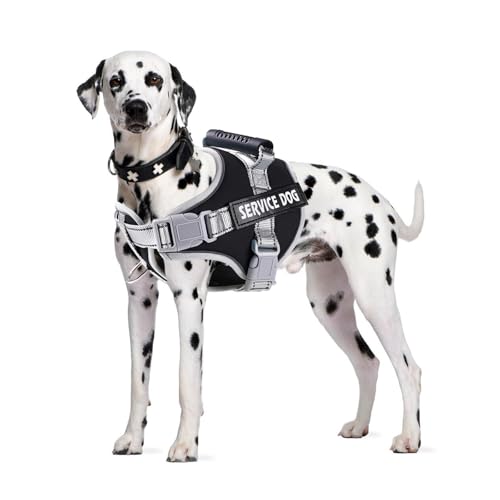 PETCUTE Hundegeschirr Gepolstert aus Weichem Nylon,Reflektierendes Welpengeschirr mit 2 Ringen,Stabiler Griff,Atmungsaktiv Einstellbar Brustgeschirr für große,Mittelgroße und Kleine Hunde PETCUTE Hundegeschirr Gepolstert aus Weichem Nylon,Reflektierendes Welpengeschirr mit 2 Ringen,Stabiler Griff,Atmungsaktiv Einstellbar Brustgeschirr für große,Mittelgroße und Kleine Hunde von PETCUTE