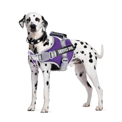 PETCUTE Hundegeschirr Gepolstert aus Weichem Nylon,Reflektierendes Welpengeschirr mit 2 Ringen,Stabiler Griff,Atmungsaktiv Einstellbar Brustgeschirr für große,Mittelgroße und Kleine Hunde PETCUTE Hundegeschirr Gepolstert aus Weichem Nylon,Reflektierendes Welpengeschirr mit 2 Ringen,Stabiler Griff,Atmungsaktiv Einstellbar Brustgeschirr für große,Mittelgroße und Kleine Hunde von PETCUTE