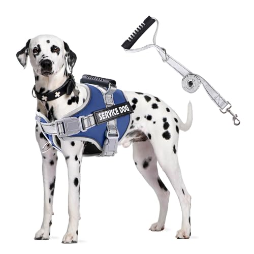 PETCUTE Hundegeschirr Gepolstert aus Weichem Nylon,Reflektierendes Welpengeschirr mit 2 Ringen,Stabiler Griff,Atmungsaktiv Einstellbar Brustgeschirr für große,Mittelgroße und Kleine Hunde PETCUTE Hundegeschirr Gepolstert aus Weichem Nylon,Reflektierendes Welpengeschirr mit 2 Ringen,Stabiler Griff,Atmungsaktiv Einstellbar Brustgeschirr für große,Mittelgroße und Kleine Hunde von PETCUTE
