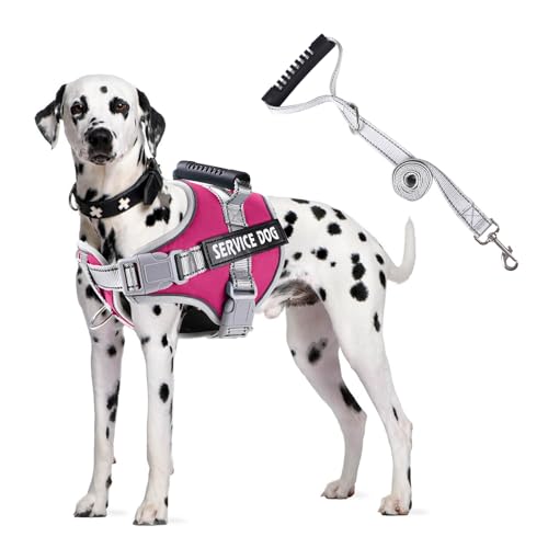 PETCUTE Hundegeschirr Gepolstert aus Weichem Nylon,Reflektierendes Welpengeschirr mit 2 Ringen,Stabiler Griff,Atmungsaktiv Einstellbar Brustgeschirr für große,Mittelgroße und Kleine Hunde PETCUTE Hundegeschirr Gepolstert aus Weichem Nylon,Reflektierendes Welpengeschirr mit 2 Ringen,Stabiler Griff,Atmungsaktiv Einstellbar Brustgeschirr für große,Mittelgroße und Kleine Hunde von PETCUTE