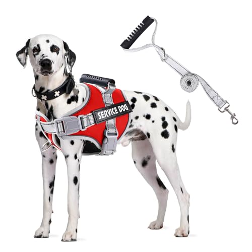 PETCUTE Hundegeschirr Gepolstert aus Weichem Nylon,Reflektierendes Welpengeschirr mit 2 Ringen,Stabiler Griff,Atmungsaktiv Einstellbar Brustgeschirr für große,Mittelgroße und Kleine Hunde PETCUTE Hundegeschirr Gepolstert aus Weichem Nylon,Reflektierendes Welpengeschirr mit 2 Ringen,Stabiler Griff,Atmungsaktiv Einstellbar Brustgeschirr für große,Mittelgroße und Kleine Hunde von PETCUTE