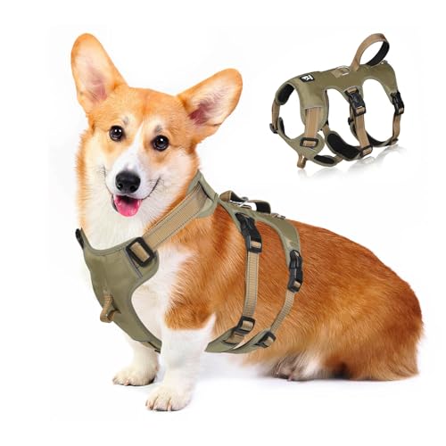 PETCUTE Hundegeschirr Grosse Hunde,No Pull Hundegeschirr mit Langlebig Griff,Vorderseite Rückseite Clips Hundegeschirr,Reflektierend Geschirr Hund Groß,Verstellbar Brustgeschirr für Große Hunde von PETCUTE