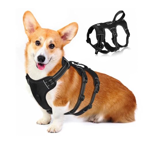 PETCUTE Hundegeschirr Grosse Hunde,No Pull Hundegeschirr mit Langlebig Griff,Vorderseite Rückseite Clips Hundegeschirr,Reflektierend Geschirr Hund Groß,Verstellbar Brustgeschirr für Große Hunde PETCUTE Hundegeschirr Grosse Hunde,No Pull Hundegeschirr mit Langlebig Griff,Vorderseite Rückseite Clips Hundegeschirr,Reflektierend Geschirr Hund Groß,Verstellbar Brustgeschirr für Große Hunde von PETCUTE