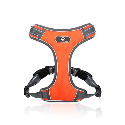 PETCUTE Hundegeschirr Kleine Hunde,Reflektierend Verstellbare Softgeschirr mit D-Ring,Atmungsaktiv No Pull Sicherheitsgeschirr Leichtes Kleine Mittlere Hundegeschirr für Gehen,Training PETCUTE Hundegeschirr Kleine Hunde,Reflektierend Verstellbare Softgeschirr mit D-Ring,Atmungsaktiv No Pull Sicherheitsgeschirr Leichtes Kleine Mittlere Hundegeschirr für Gehen,Training von PETCUTE