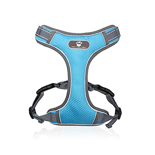 PETCUTE Hundegeschirr Kleine Hunde,Reflektierend Verstellbare Softgeschirr mit D-Ring,Atmungsaktiv No Pull Sicherheitsgeschirr Leichtes Kleine Mittlere Hundegeschirr für Gehen,Training PETCUTE Hundegeschirr Kleine Hunde,Reflektierend Verstellbare Softgeschirr mit D-Ring,Atmungsaktiv No Pull Sicherheitsgeschirr Leichtes Kleine Mittlere Hundegeschirr für Gehen,Training von PETCUTE