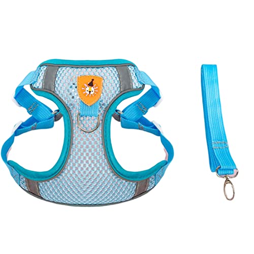 PETCUTE Hundegeschirr Kleine Hunde mit Leine,Reflektierend Hunde Geschirr,Atmungsaktives,Anti Zug Geschirr für Kleine Mittlere Hunde,Verstellbar Leichtes Welpengeschirr für Gehen,Training PETCUTE Hundegeschirr Kleine Hunde mit Leine,Reflektierend Hunde Geschirr,Atmungsaktives,Anti Zug Geschirr für Kleine Mittlere Hunde,Verstellbar Leichtes Welpengeschirr für Gehen,Training von PETCUTE