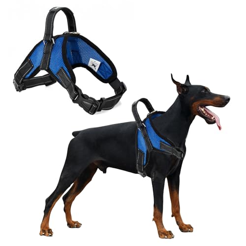 PETCUTE Hundegeschirr Mittelgroße Hunde,Reflektierend Weich Gepolstert Hunde Geschirr,Verstellbar Atmungsaktiv Brustgeschirr für Katze Welpen Hunde,Anti-Zug,Hundegeschirr mit Robuster Griff PETCUTE Hundegeschirr Mittelgroße Hunde,Reflektierend Weich Gepolstert Hunde Geschirr,Verstellbar Atmungsaktiv Brustgeschirr für Katze Welpen Hunde,Anti-Zug,Hundegeschirr mit Robuster Griff von PETCUTE
