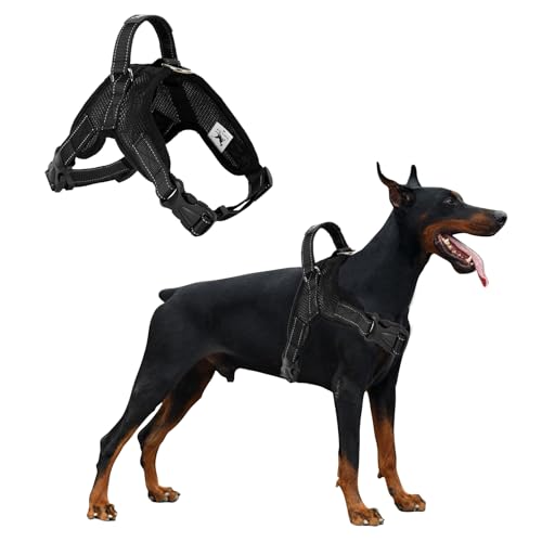 PETCUTE Hundegeschirr Mittelgroße Hunde,Reflektierend Weich Gepolstert Hunde Geschirr,Verstellbar Atmungsaktiv Brustgeschirr für Katze Welpen Hunde,Anti-Zug,Hundegeschirr mit Robuster Griff PETCUTE Hundegeschirr Mittelgroße Hunde,Reflektierend Weich Gepolstert Hunde Geschirr,Verstellbar Atmungsaktiv Brustgeschirr für Katze Welpen Hunde,Anti-Zug,Hundegeschirr mit Robuster Griff von PETCUTE