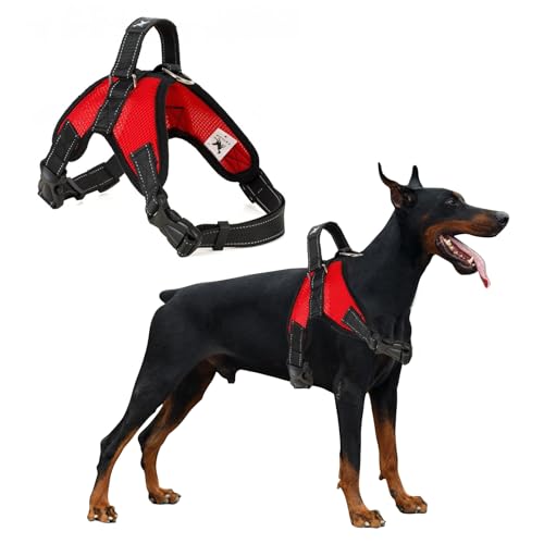 PETCUTE Hundegeschirr Mittelgroße Hunde,Reflektierend Weich Gepolstert Hunde Geschirr,Verstellbar Atmungsaktiv Brustgeschirr für Katze Welpen Hunde,Anti-Zug,Hundegeschirr mit Robuster Griff PETCUTE Hundegeschirr Mittelgroße Hunde,Reflektierend Weich Gepolstert Hunde Geschirr,Verstellbar Atmungsaktiv Brustgeschirr für Katze Welpen Hunde,Anti-Zug,Hundegeschirr mit Robuster Griff von PETCUTE