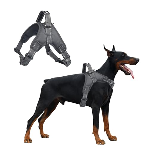 PETCUTE Hundegeschirr Mittelgroße Hunde,Reflektierend Weich Gepolstert Hunde Geschirr,Verstellbar Atmungsaktiv Brustgeschirr für Katze Welpen,Anti-Zug,Hundegeschirr mit Robuster Griff PETCUTE Hundegeschirr Mittelgroße Hunde,Reflektierend Weich Gepolstert Hunde Geschirr,Verstellbar Atmungsaktiv Brustgeschirr für Katze Welpen,Anti-Zug,Hundegeschirr mit Robuster Griff von PETCUTE
