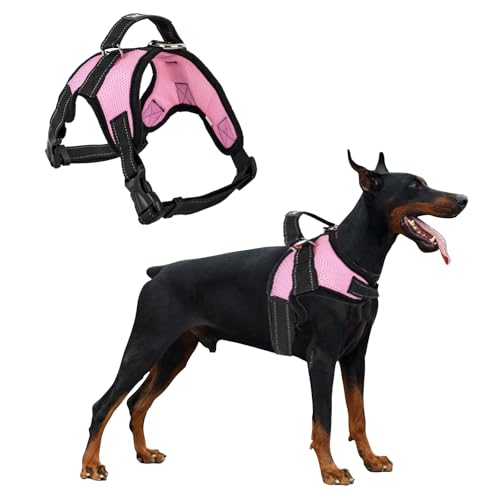 PETCUTE Hundegeschirr Mittelgroße Hunde,Reflektierend Weich Gepolstert Hunde Geschirr,Verstellbar Atmungsaktiv Brustgeschirr für Katze Welpen Hunde,Anti-Zug,Hundegeschirr mit Robuster Griff PETCUTE Hundegeschirr Mittelgroße Hunde,Reflektierend Weich Gepolstert Hunde Geschirr,Verstellbar Atmungsaktiv Brustgeschirr für Katze Welpen Hunde,Anti-Zug,Hundegeschirr mit Robuster Griff von PETCUTE