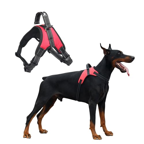 PETCUTE Hundegeschirr Mittelgroße Hunde,Reflektierend Weich Gepolstert Hunde Geschirr,Verstellbar Atmungsaktiv Brustgeschirr für Katze Welpen,Anti-Zug,Hundegeschirr mit Robuster Griff PETCUTE Hundegeschirr Mittelgroße Hunde,Reflektierend Weich Gepolstert Hunde Geschirr,Verstellbar Atmungsaktiv Brustgeschirr für Katze Welpen,Anti-Zug,Hundegeschirr mit Robuster Griff von PETCUTE