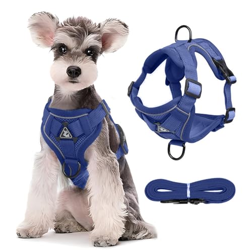 PETCUTE Hundegeschirr für Hunde,Verstellbar Brustgeschirr für kleine Hunde mit Reflektorstreifen und 1.5M Hundeleine,Atmungsaktiv,Ausbruchsicher,No Pull Geschirr für mittele & große Hunde PETCUTE Hundegeschirr für Hunde,Verstellbar Brustgeschirr für kleine Hunde mit Reflektorstreifen und 1.5M Hundeleine,Atmungsaktiv,Ausbruchsicher,No Pull Geschirr für mittele & große Hunde von PETCUTE