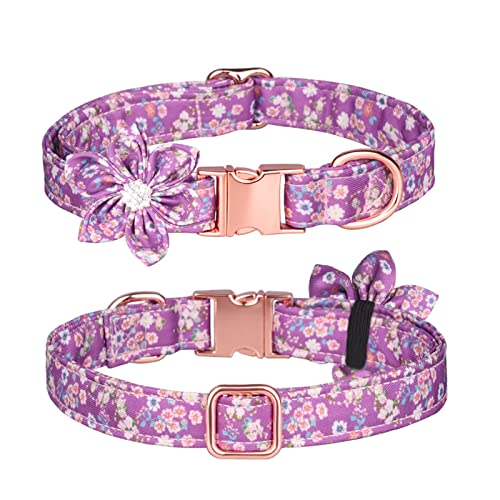 PETCUTE Hundehalsband mit Blume und Fliege,Verstellbarer Hundehalsband für Kleine/Mittelgroße/Große Hunde und Katzen,Atmungsaktiv Haustier Halsbänder mit Metallschnallen PETCUTE Hundehalsband mit Blume und Fliege,Verstellbarer Hundehalsband für Kleine/Mittelgroße/Große Hunde und Katzen,Atmungsaktiv Haustier Halsbänder mit Metallschnallen von PETCUTE