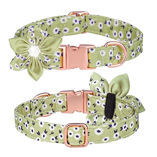 PETCUTE Hundehalsband mit Blume und Fliege,Stilvolle Hundehalsband,Verstellbarer Hundehalsband für Kleine/Mittelgroße/Große Hunde und Katzen,Atmungsaktiv Haustier Halsbänder mit Metallschnallen von PETCUTE