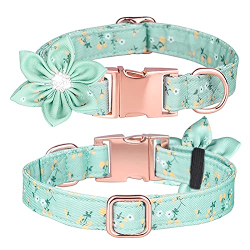 PETCUTE Hundehalsband mit Blume und Fliege,Verstellbarer Hundehalsband für Kleine/Mittelgroße/Große Hunde und Katzen,Atmungsaktiv Haustier Halsbänder mit Metallschnallen PETCUTE Hundehalsband mit Blume und Fliege,Verstellbarer Hundehalsband für Kleine/Mittelgroße/Große Hunde und Katzen,Atmungsaktiv Haustier Halsbänder mit Metallschnallen von PETCUTE