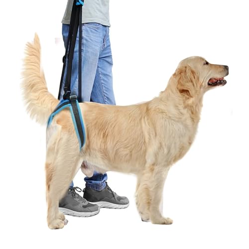 PETCUTE Hundehebegeschirr,Verstellbare Hundestützschlaufe für Verletzte Behinderte Kleine, mittlere und Große Hunde,Atmungsaktiv Hunde Stützgeschirr für Rücken Beine mit Hebegriff PETCUTE Hundehebegeschirr,Verstellbare Hundestützschlaufe für Verletzte Behinderte Kleine, mittlere und Große Hunde,Atmungsaktiv Hunde Stützgeschirr für Rücken Beine mit Hebegriff von PETCUTE