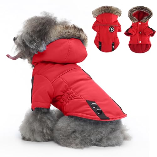 PETCUTE Hundejacke mit Geschirr, Wasserdichter Warmer Hund Wintermantel für Kleine Mittel große Hunde, Reflektierende Hundemantel Hundepullover mit Reißverschluss-Design,Zwei Taschen PETCUTE Hundejacke mit Geschirr, Wasserdichter Warmer Hund Wintermantel für Kleine Mittel große Hunde, Reflektierende Hundemantel Hundepullover mit Reißverschluss-Design,Zwei Taschen von PETCUTE