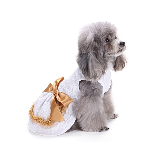 PETCUTE Hundekleid Haustier Kleine Hund Kleidung,Hundesommerkleid Haustier Hundekleid,Schöne Blume Haustier-Kleidung Elegante Bowknot Welpen Rock,Hundeprinzessin Kleider Tutu Hochzeit Spitze Kleid PETCUTE Hundekleid Haustier Kleine Hund Kleidung,Hundesommerkleid Haustier Hundekleid,Schöne Blume Haustier-Kleidung Elegante Bowknot Welpen Rock,Hundeprinzessin Kleider Tutu Hochzeit Spitze Kleid von PETCUTE