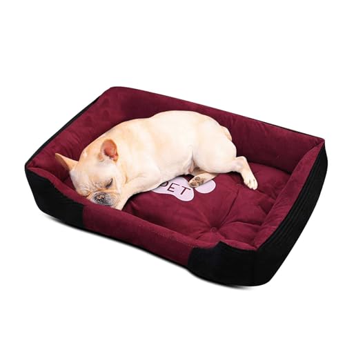 PETCUTE Hundekorb Hundebett Grosse Mittlere Kleine Hunde Waschbar Hundematte Weich Hundeschlafplatz Flauschig Hundebetten mit Kleines Kissen L-70X55X15CM PETCUTE Hundekorb Hundebett Grosse Mittlere Kleine Hunde Waschbar Hundematte Weich Hundeschlafplatz Flauschig Hundebetten mit Kleines Kissen L-70X55X15CM von PETCUTE