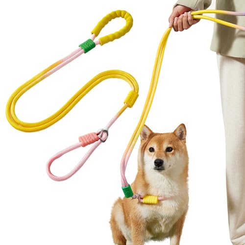 PETCUTE Hundeleine Große Hunde,Verstellbar Hundeleine mit Bequemen Gepolsterten Griff,Robuste Nylon Doppelleine für Hunde,Hundeleine zum Training,Hundeleine für große und mittelgroße Hunde PETCUTE Hundeleine Große Hunde,Verstellbar Hundeleine mit Bequemen Gepolsterten Griff,Robuste Nylon Doppelleine für Hunde,Hundeleine zum Training,Hundeleine für große und mittelgroße Hunde von PETCUTE