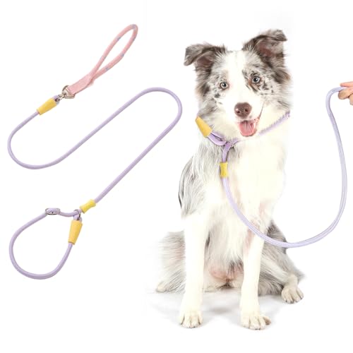 PETCUTE Hundeleine Große Hunde,Verstellbar Hundeleine mit Bequemen Gepolsterten Griff,Robuste Nylon Doppelleine für Hunde,Hundeleine zum Training,Hundeleine für große und mittelgroße Hunde PETCUTE Hundeleine Große Hunde,Verstellbar Hundeleine mit Bequemen Gepolsterten Griff,Robuste Nylon Doppelleine für Hunde,Hundeleine zum Training,Hundeleine für große und mittelgroße Hunde von PETCUTE
