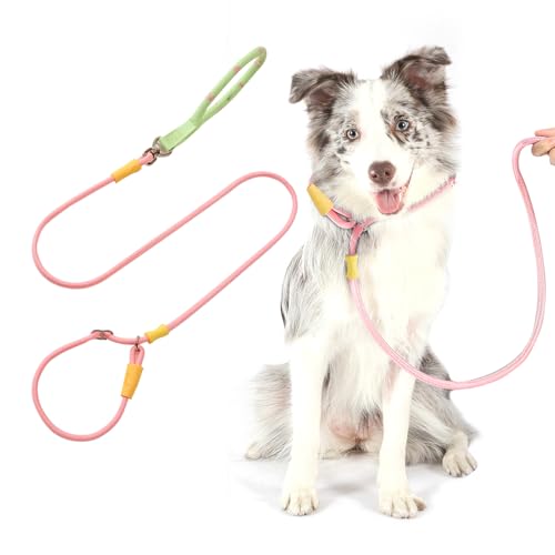 PETCUTE Hundeleine Große Hunde,Verstellbar Hundeleine mit Bequemen Gepolsterten Griff,Robuste Nylon Doppelleine für Hunde,Hundeleine zum Training,Hundeleine für große und mittelgroße Hunde PETCUTE Hundeleine Große Hunde,Verstellbar Hundeleine mit Bequemen Gepolsterten Griff,Robuste Nylon Doppelleine für Hunde,Hundeleine zum Training,Hundeleine für große und mittelgroße Hunde von PETCUTE