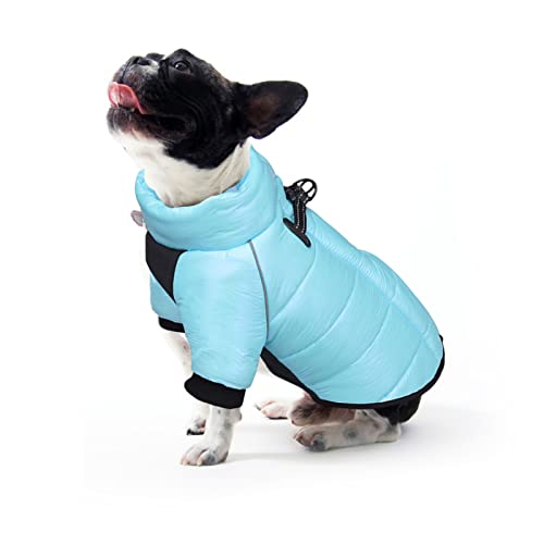 PETCUTE Hundemantel Winter Hundejacke, Hundemantel für Kleine Mittelgroße Hunde,Wasserdicht Hundepullover mit Geschirr Loch, Warmer Hund Wintermantel, Reflektierender Streifen Design,Haltbarer D-Ring von PETCUTE