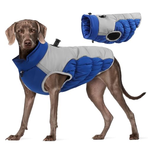 PETCUTE Hundemantel für Kleine Hunde,Wasserdicht Hundejacke mit Reflektierender Streifen,Winddichte Winterweste Jacken für Kleine Mittlere Hunde,Welpen Winter Warme Jacke mit D-Ring von PETCUTE