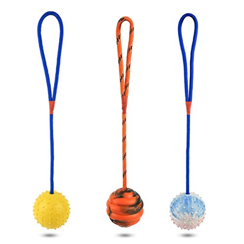 PETCUTE Hundespielzeug Ball mit Seil Kauspielzeug Wurfball Hund Naturgummiball am Seil Hundeball von PETCUTE