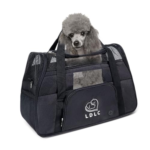 PETCUTE Hundetransportbox,Atmungsaktive Katzen Tragetasche Katze transportbox Tragetaschen mit Weicher Matratze, Stoff Oxford Haustiertragetasche mit Schultergurt,Airline Zugelassen Schwarz von PETCUTE