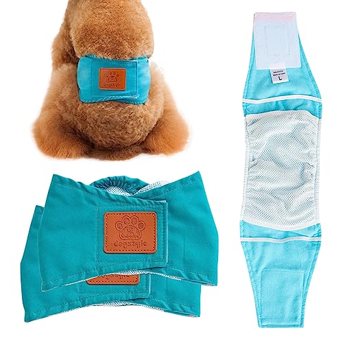 PETCUTE Hundewindeln Waschbare Bauchband für Männliche Hunde Hund Hygieneunterhose 2er Pack Hund Windeln wiederverwendbar PETCUTE Hundewindeln Waschbare Bauchband für Männliche Hunde Hund Hygieneunterhose 2er Pack Hund Windeln wiederverwendbar von PETCUTE