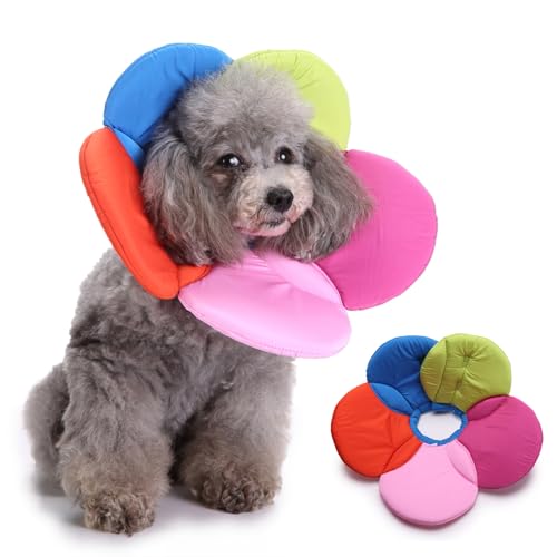 PETCUTE Katzen Halskrause, Leckschutz Einstellbarer Katzenkragen, Wiederherstellung Halsband Weich Kragen Cone Nach Operation und Verletzungen für Welpen,Hunde und Katzen (L) von PETCUTE