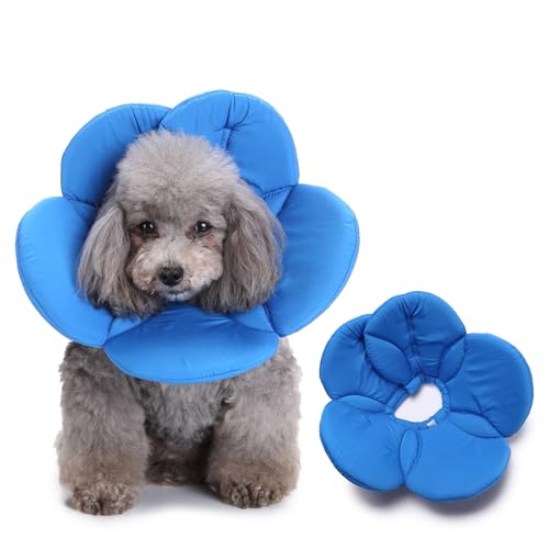PETCUTE Katzen Halskrause, Leckschutz Einstellbarer Katzenkragen, Wiederherstellung Halsband Weich Kragen Cone Nach Operation und Verletzungen für Welpen,Hunde und Katzen (M) von PETCUTE