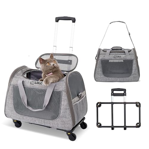 PETCUTE Katzen Transportboxen Bis zu 9 kg,Atmungsaktiv Haustier Transportbox mit Teleskopgriff und Räder,Tragetasche für Katzen und kleine Hunde mit Schultergurt,Abnehmbarem Kissen PETCUTE Katzen Transportboxen Bis zu 9 kg,Atmungsaktiv Haustier Transportbox mit Teleskopgriff und Räder,Tragetasche für Katzen und kleine Hunde mit Schultergurt,Abnehmbarem Kissen von PETCUTE