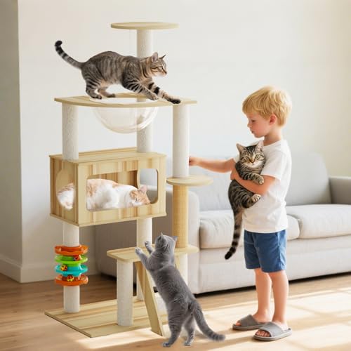 PETCUTE Katzenbaum,119cm,Katzenkratzbaum Groß mit Raumkapsel,Leiter,Höhle,Katzenspielzeug,Pompon,Plattformen,Jute Kratzsäule,Katzenkratzbaum mit Anleitung,Leicht zu Reinigen PETCUTE Katzenbaum,119cm,Katzenkratzbaum Groß mit Raumkapsel,Leiter,Höhle,Katzenspielzeug,Pompon,Plattformen,Jute Kratzsäule,Katzenkratzbaum mit Anleitung,Leicht zu Reinigen von PETCUTE
