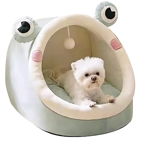 PETCUTE Katzenbett für Indoor Katzen,Warm Katzenhöhle Katzenhaus mit Abnehmbarem Waschbarem Kissen,Anti-Rutsch,Haustierhöhle Schlafbett mit Hängendem Spielzeug,Gemütliches Haustier Kissen Bett PETCUTE Katzenbett für Indoor Katzen,Warm Katzenhöhle Katzenhaus mit Abnehmbarem Waschbarem Kissen,Anti-Rutsch,Haustierhöhle Schlafbett mit Hängendem Spielzeug,Gemütliches Haustier Kissen Bett von PETCUTE