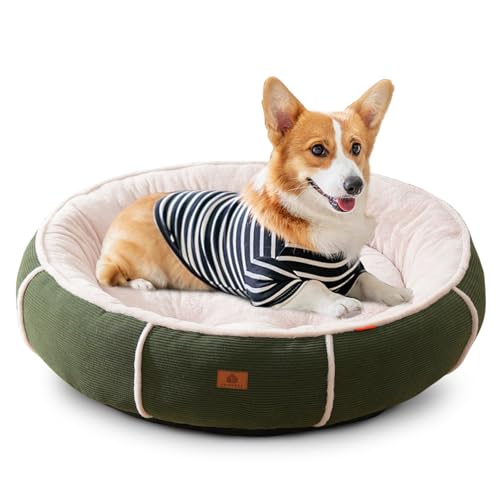 PETCUTE Katzenbett große Katzen,Plüsch Hundebett,Orthopädisches Haustierbett für Katzen und Welpen,Weiches Haustierschlafbett mit rutschfeste Unterseite,Waschbares Haustierkissen PETCUTE Katzenbett große Katzen,Plüsch Hundebett,Orthopädisches Haustierbett für Katzen und Welpen,Weiches Haustierschlafbett mit rutschfeste Unterseite,Waschbares Haustierkissen von PETCUTE