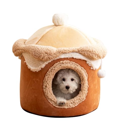 PETCUTE Katzenbetten für Hauskatzen,Faltbare Katzenhöhle Katzenbett Katzenhaus mit Anti-Rutsch-Boden,Weiches und Warmes Katzenhaus für Drinnen,Waschbar Bequemer Katzenschlafplatz für Katzen Kätzchen PETCUTE Katzenbetten für Hauskatzen,Faltbare Katzenhöhle Katzenbett Katzenhaus mit Anti-Rutsch-Boden,Weiches und Warmes Katzenhaus für Drinnen,Waschbar Bequemer Katzenschlafplatz für Katzen Kätzchen von PETCUTE