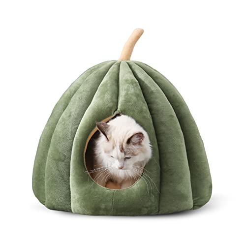 PETCUTE Katzenhöhle Katzenbett für große Katzen,Waschbar Haustierhöhle Katzenkorb für Katzen und Hunde, Hundebett mit Waschbarem Kissen,Warme Katzenhaus Haustierbett mit rutschfeste Unterseite PETCUTE Katzenhöhle Katzenbett für große Katzen,Waschbar Haustierhöhle Katzenkorb für Katzen und Hunde, Hundebett mit Waschbarem Kissen,Warme Katzenhaus Haustierbett mit rutschfeste Unterseite von PETCUTE