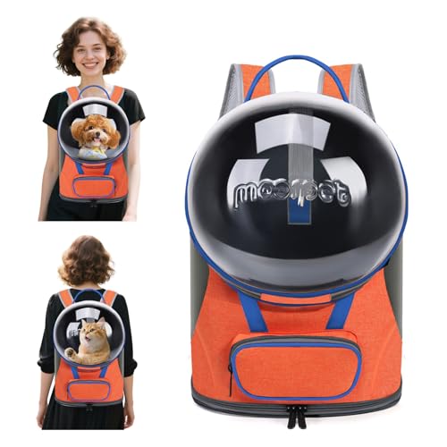 PETCUTE Katzentragerrucksack,Faltbare Haustier-Tragerucksack für Kleine und mittelgroße Katzen,Welpen,Hunde,Haustier Kapsel-Rucksack mit Innerer Sicherheitsleine,für Reisen,Wandern,Camping PETCUTE Katzentragerrucksack,Faltbare Haustier-Tragerucksack für Kleine und mittelgroße Katzen,Welpen,Hunde,Haustier Kapsel-Rucksack mit Innerer Sicherheitsleine,für Reisen,Wandern,Camping von PETCUTE