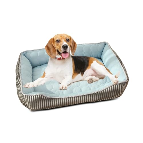 PETCUTE Kühl Hundebett,Orthopädisches Hundebett Grosse Hunde,Waschbar Hundekorb mit 4 Rändern,Hundesofa, Hundekissen mit Anti-Rutsch-Boden,Passend für Sommer,Blau,S PETCUTE Kühl Hundebett,Orthopädisches Hundebett Grosse Hunde,Waschbar Hundekorb mit 4 Rändern,Hundesofa, Hundekissen mit Anti-Rutsch-Boden,Passend für Sommer,Blau,S von PETCUTE