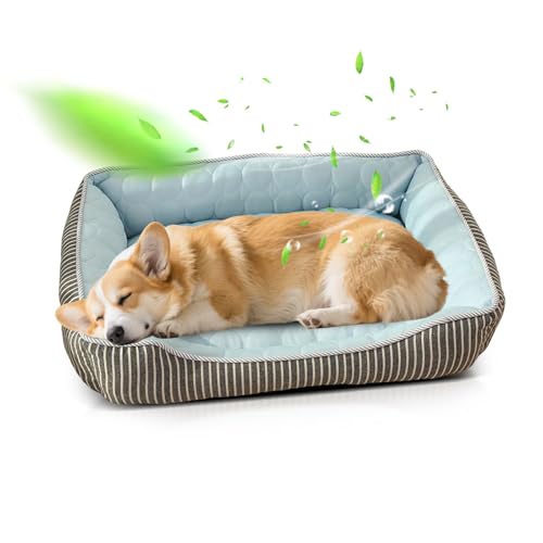 PETCUTE Kühl Hundebett,Orthopädisches Hundebett Grosse Hunde,Waschbar Hundekorb mit 4 Rändern,Hundesofa, Hundekissen mit Anti-Rutsch-Boden,Passend für Sommer,Blau,S von PETCUTE
