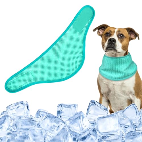 PETCUTE Kühlendes Hundehalstuch, Sofortiges Auskühlen, Verstellbarer Haustier-Schal, Sommer Kühlhalsband für Hunde,für Kleine, mittelgroße und große Rassen,Outdoor-Spaziergänge,Camping,Grün,L PETCUTE Kühlendes Hundehalstuch, Sofortiges Auskühlen, Verstellbarer Haustier-Schal, Sommer Kühlhalsband für Hunde,für Kleine, mittelgroße und große Rassen,Outdoor-Spaziergänge,Camping,Grün,L von PETCUTE