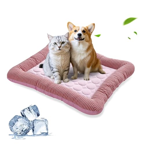 PETCUTE Haustier Katzenbett Katzen Tiere Hundedecke Hundekorb,Hundebett Grosse Mittlere Kleine Hunde,Hundedecke Hundebett Katzenbett Tierbett für Hunde Katzen PETCUTE Haustier Katzenbett Katzen Tiere Hundedecke Hundekorb,Hundebett Grosse Mittlere Kleine Hunde,Hundedecke Hundebett Katzenbett Tierbett für Hunde Katzen von PETCUTE